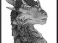 1172106516.kiartia_draco_by_kiartia.jpg